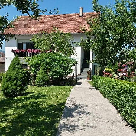 Guesthouse Pavlicic Drežnik Grad Exteriér fotografie