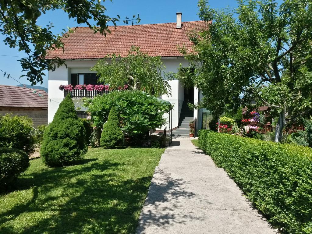 Guesthouse Pavlicic Drežnik Grad Exteriér fotografie