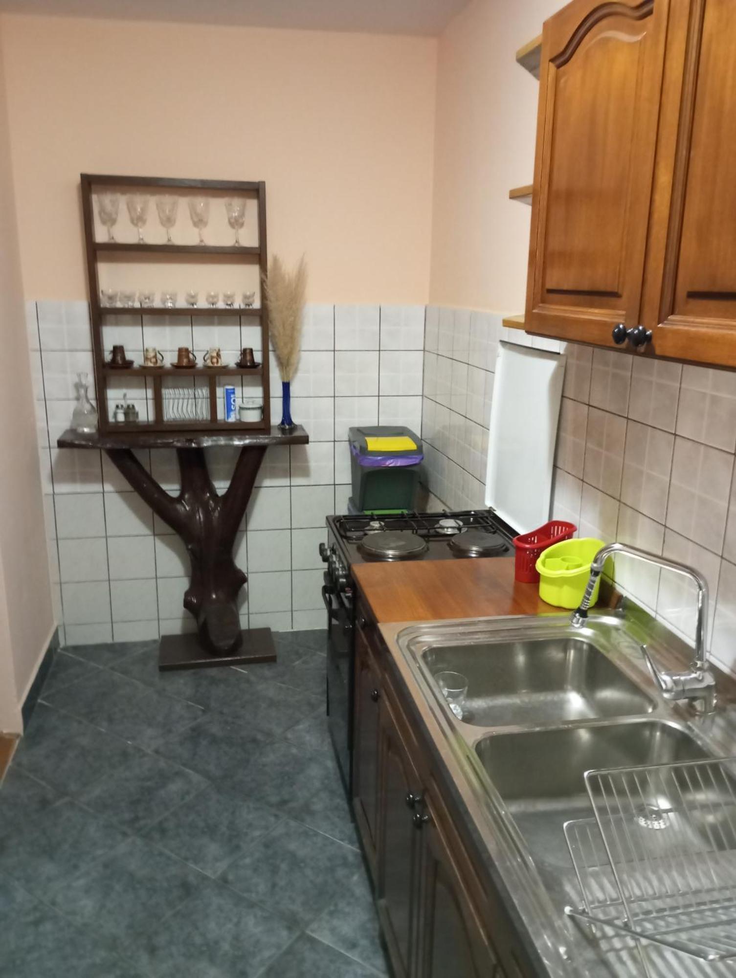 Guesthouse Pavlicic Drežnik Grad Exteriér fotografie