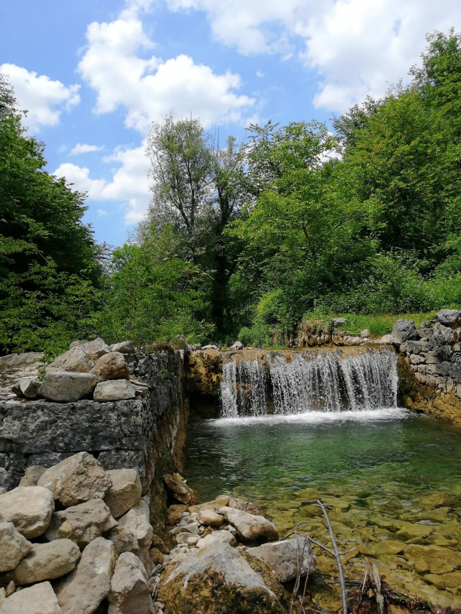 Guesthouse Pavlicic Drežnik Grad Exteriér fotografie