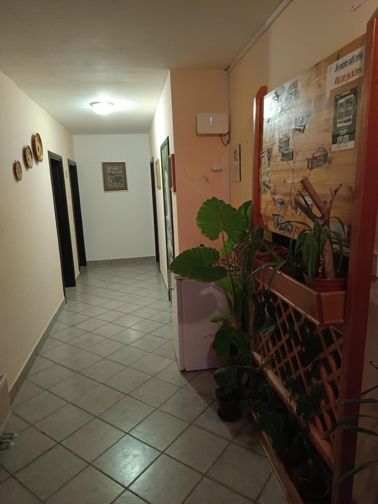 Guesthouse Pavlicic Drežnik Grad Exteriér fotografie