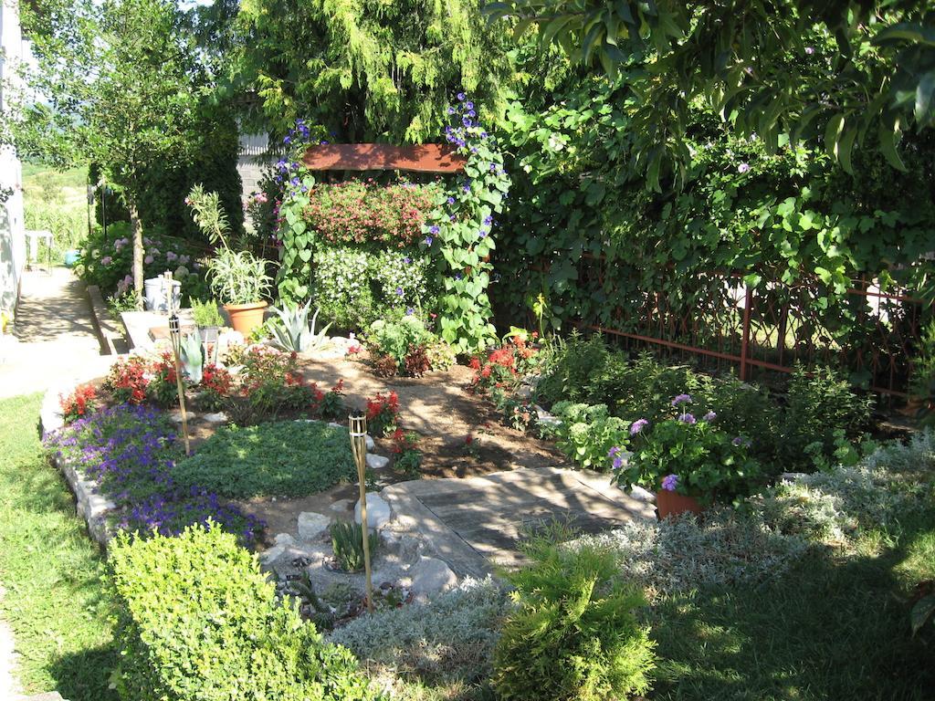 Guesthouse Pavlicic Drežnik Grad Exteriér fotografie