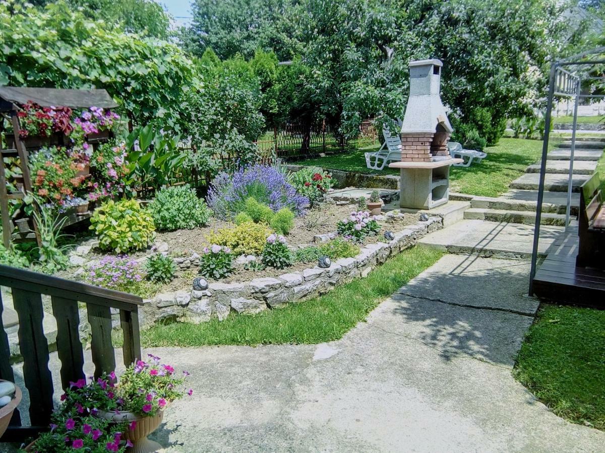 Guesthouse Pavlicic Drežnik Grad Exteriér fotografie