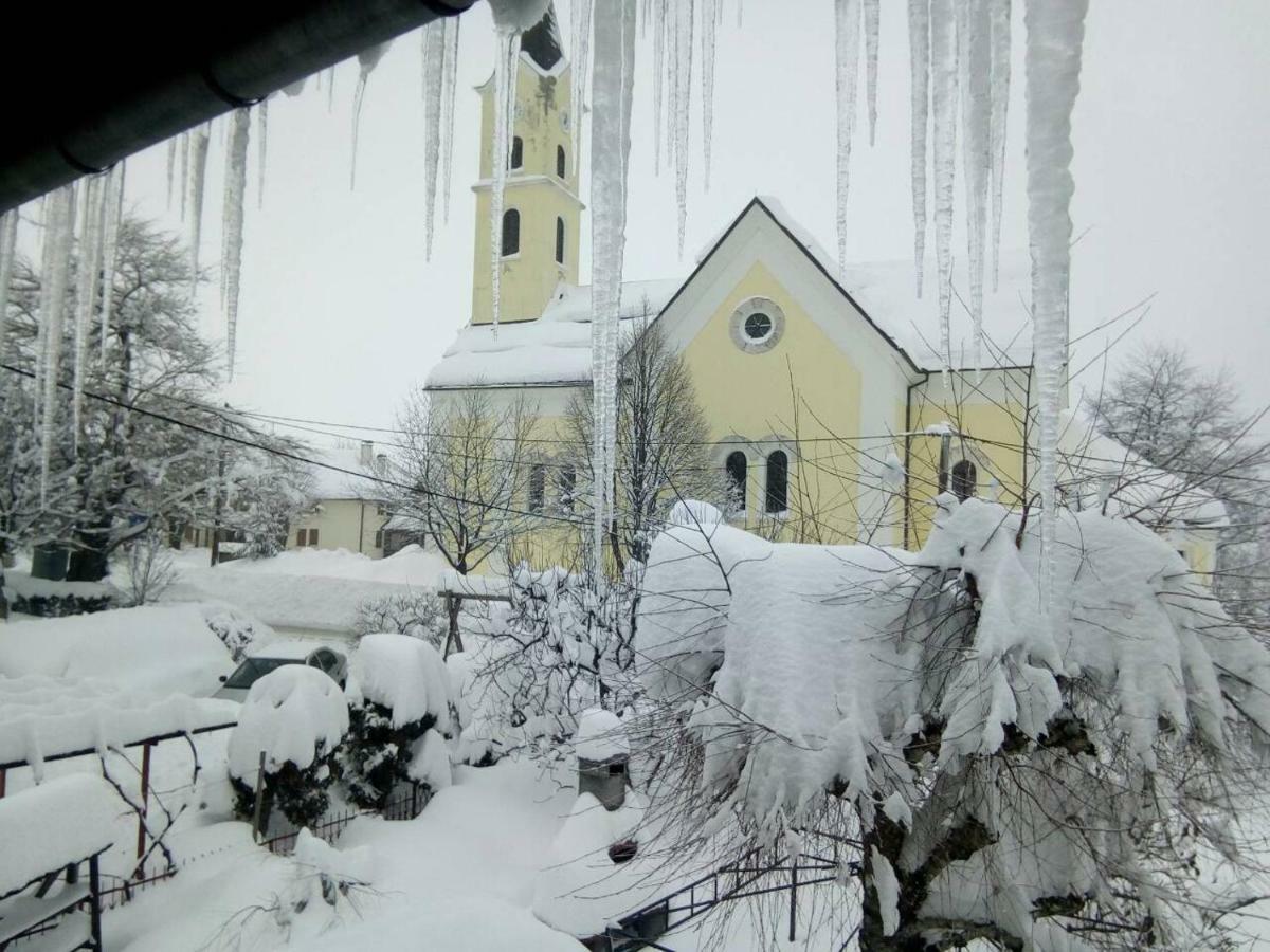 Guesthouse Pavlicic Drežnik Grad Exteriér fotografie